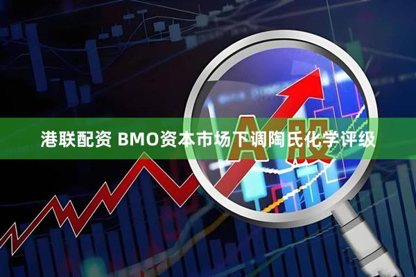 港联配资 BMO资本市场下调陶氏化学评级