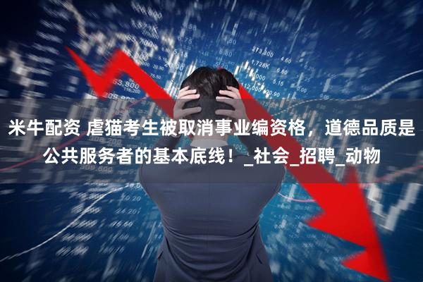米牛配资 虐猫考生被取消事业编资格，道德品质是公共服务者的基本底线！_社会_招聘_动物