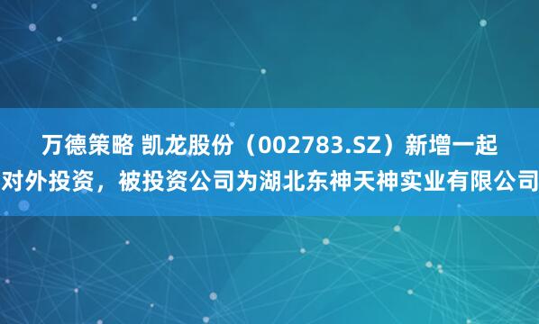 万德策略 凯龙股份（002783.SZ）新增一起对外投资，被投资公司为湖北东神天神实业有限公司
