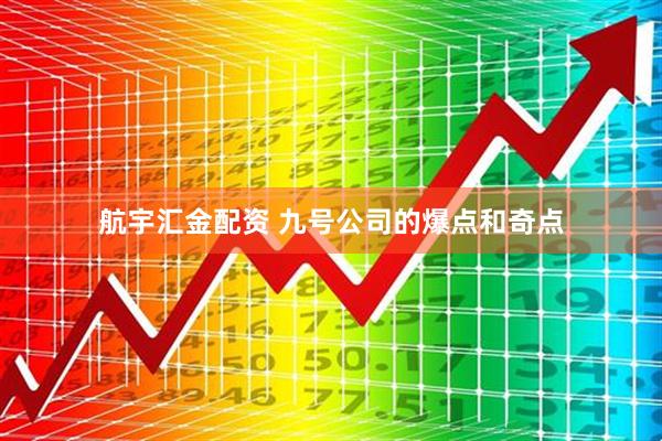 航宇汇金配资 九号公司的爆点和奇点