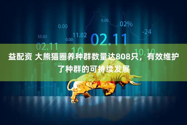 益配资 大熊猫圈养种群数量达808只，有效维护了种群的可持续发展